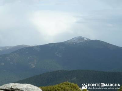 Ruta por el valle de Fuenfría, Siete Picos; singles madrid con niños; duques de alburquerque